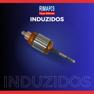 INDUZIDOS